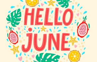 6月 プラグインアップデート完了しました