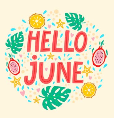 6月 プラグインアップデート完了しました